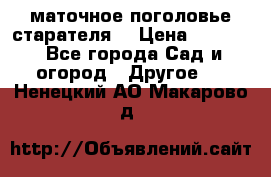 маточное поголовье старателя  › Цена ­ 3 700 - Все города Сад и огород » Другое   . Ненецкий АО,Макарово д.